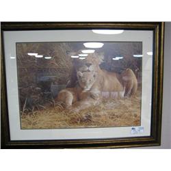 Framed Print "mother & Cub"