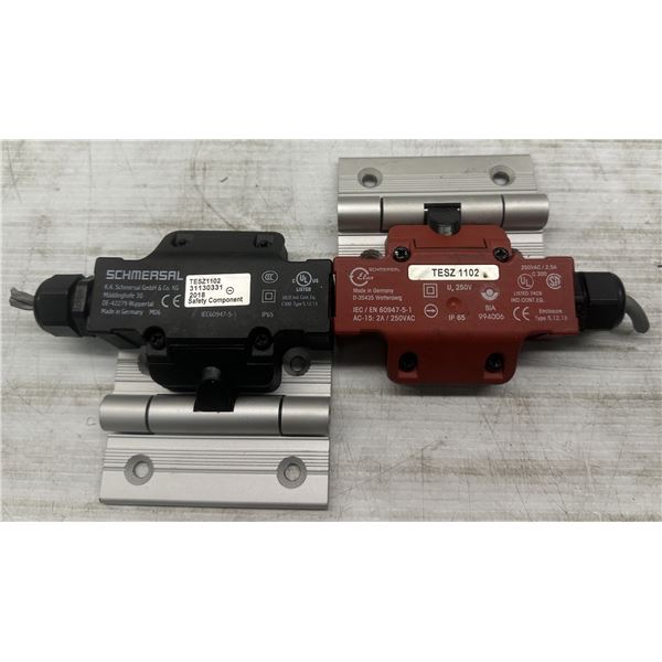 (2) Schmersal #TESZ1102 Hinged Safety Switches