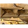 Image 31 : 1994 CAT D8N CRAWLER DOZER
