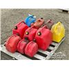 Image 4 : (10) JERRY CANS