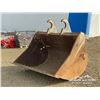 Image 1 : AMI 72 IN 300 SERIES CLEAN OUT BUCKET