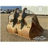 Image 3 : AMI 72 IN 300 SERIES CLEAN OUT BUCKET
