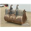 Image 3 : AMI 72 IN. 300 SERIES CLEAN OUT BUCKET