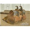 Image 4 : AMI 74 IN. 300 SERIES CLEAN OUT BUCKET