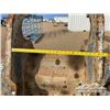 Image 8 : AMI 74 IN. 300 SERIES CLEAN OUT BUCKET