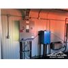 Image 17 : 26 FT. X 11 FT. 7 IN STAMFORD TWIN 54 KW GENERATOR