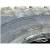 Image 6 : (3) 17.5-25 TIRES