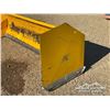 Image 9 : 9 FT. SNOW PUSHER