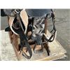 Image 7 : HORSE TACK