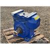 Image 1 : (UNUSED) RENOLD WORMMASTER WM-8 GEARBOX