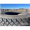 Image 5 : (8) 11R24.5 TIRES