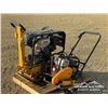 Image 1 : BLUE VIPER C330 & C90T PLATE COMPACTORS