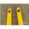 Image 9 : INDUSTRIAL PALLET JACK
