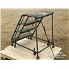 Image 4 : METAL STAIRCASE W/WHEELS