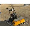 Image 2 : 32 IN. SNOW SWEEPER
