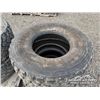 Image 8 : (4) 445/65R22.5 TIRES
