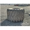 Image 3 : 3x44-32 FIRESTONE FORESTRY FLOAT TIRE