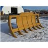 Image 2 : CATERPILLAR 148 IN. D8 BRUSH RAKE