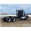 Image 3 : 1995 KENWORTH T800 T/A TRUCK TRACTOR