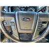 Image 15 : 2014 FORD F150 XLT CREW CAB PICKUP