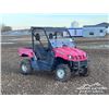 Image 2 : 2007 YAMAHA 660 4X4 RHINO SIDE BY SIDE