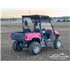 Image 3 : 2007 YAMAHA 660 4X4 RHINO SIDE BY SIDE