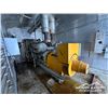 Image 6 : SKIDDED 400 KW CATERPILLAR V12 GENERATOR