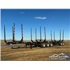 Image 1 : 2007 DOEPKER SUPER B-TRAIN LOG TRAILERS
