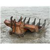 Image 3 : WELDCO BEALS 60 IN. 200 SERIES BRUSH RAKE