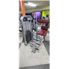 Image 1 : LIFE FITNESS BACK EXTENSION MACHINE MN: PSBESE