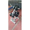 Image 1 : HAMMER STRENGTH PLATE RACK WITH TWO IGX 45LBS, TWO 25LBS AND FOUR 10LBS PLATES
