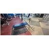 Image 2 : APEX FLAT BENCH - COMES WITH BAR
