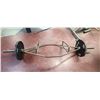 Image 9 : TRAP BAR WITH TWO 45LBS  PLATES