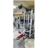 Image 13 : LIFE FITNESS MULTI SYSTEM UNIT: BICEP PULL DOWN, DUAL PULLEY ROW, ADJUSTABLE CABLE CROSSOVER, LAT PU
