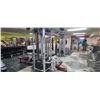 Image 3 : LIFE FITNESS MULTI SYSTEM UNIT: BICEP PULL DOWN, DUAL PULLEY ROW, ADJUSTABLE CABLE CROSSOVER, LAT PU