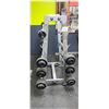 Image 1 : HAMMER STRENGTH RACK WITH SEVEN DIFFERENT IGX CURLED BARBELLS: 20LBS, 60, 70, 80, 90, 100, 110LBS