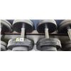 Image 4 : TWO 50LBS DUMBELLS GPX