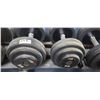 Image 2 : TWO 55LBS DUMBBELLS IGX