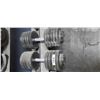 Image 3 : TWO 110 LBS DUMBELLS IGX