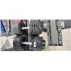 Image 3 : TWO 90LBS IGX DUMBBELLS