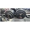 Image 1 : TWO 95LBS DUMBBELLS