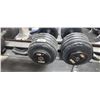 Image 1 : TWO 100LBS DUMBBELLS