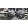 Image 2 : TWO 100LBS DUMBBELLS