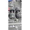 Image 4 : TWO 100LBS DUMBBELLS