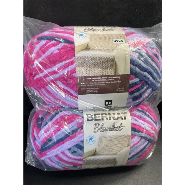 2-Pack of Bernat Blanket Yarn - 300g Skeins for Knitting/Crochet - New