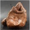 Image 18 : PRE-COLUMBIAN NAYARIT POTTERY FIGURE