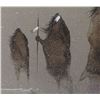 Image 7 : KIOWA PAINTING (ROBERT REDBIRD)