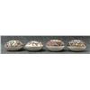 Image 2 : FOUR ACOMA SEED POTS