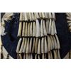 Image 11 : PLATEAU DENTALIUM HAT