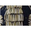 Image 12 : PLATEAU DENTALIUM HAT